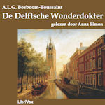 Bosboom-Toussaint, A.L.G. 'De Delftsche Wonderdokter'